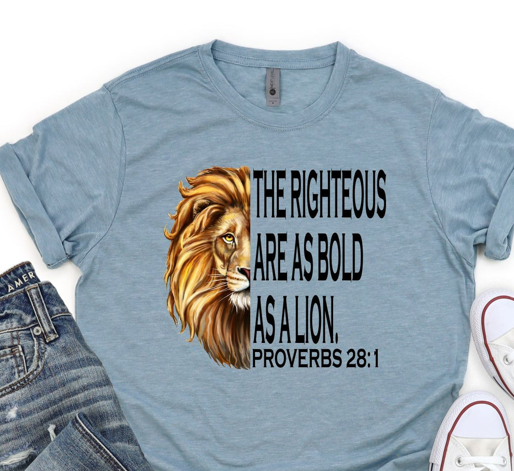Lion - The righteous are..